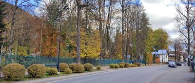 Szczawnica, PKS ↔ Szczawnica, ul. Główna