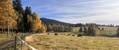 Przełęcz Puchaczówka, rozejście szlaków ↔ Skowronia Góra