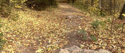 Schronisko PTTK Szwajcarka ↔ Husyckie Skały