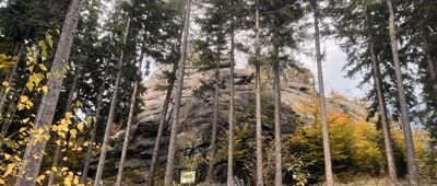 Starościńskie Skały, odejście szlaku czarnego