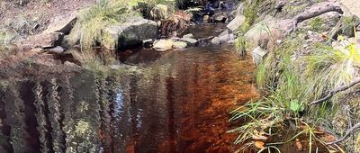 Skała Piec ↔ Starościńskie Skały, odejście szlaku czarnego