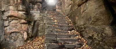 Rozdroże pod zamkiem Bolczów ↔ Ruiny zamku Bolczów