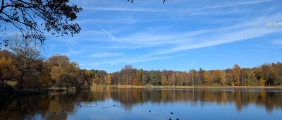 Bukowiec, ul. Tokarska ↔ Kąpielnik