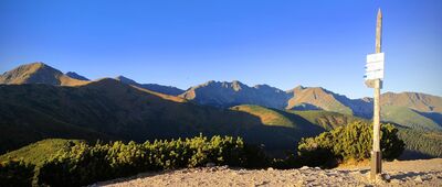 Grześ [Grześ (wrzesień 2025)]