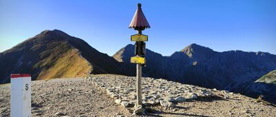 Rakoń [Rakoń (wrzesień 2025)]