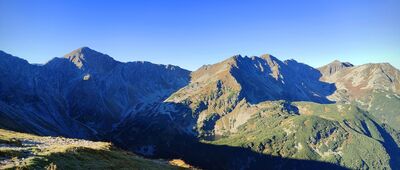 Rakoń [Rakoń (wrzesień 2025)]