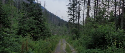Hlinská dolina, ústie ↔ Kmeťov vodopád, skrzyżowanie