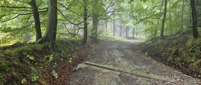 Stary Trakt Kamiennogórsko-Kowarski ↔ Kowary, ul. Rejtana [Na niebieskim szlaku, schodzącym do Kowar]