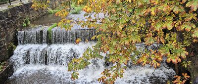 Kowary, kościół [Jedlica z jednego z mostków w Kowarach]