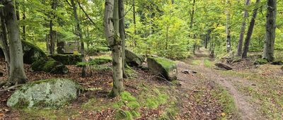 Trzmielak [Przełęcz Skarbczyk]