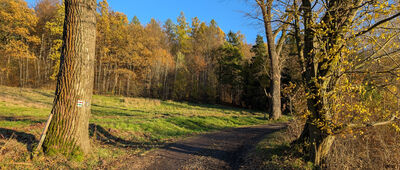 Mysłakowice ↔ Mysłakowice, ul. Cmentarna