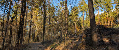 Mysłakowice, ul. Cmentarna ↔ Pod Mrowcem