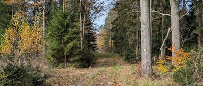 Czaple ↔ Twardocice