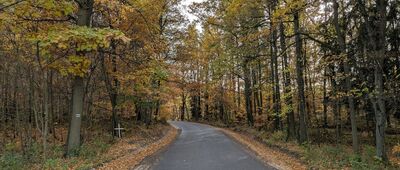 Czaple, skrzyżowanie ↔ Cygańskie Skały