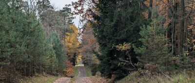 Cygańskie Skały ↔ Odejście "Szlaku kamiennych krzyży" 