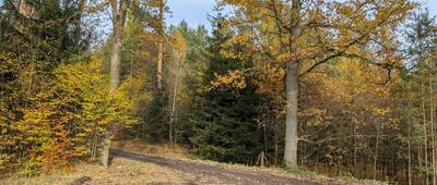 Odejście "Szlaku kamiennych krzyży" 