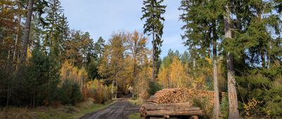 Odejście "Szlaku kamiennych krzyży" 