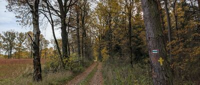Odejście "Szlaku kamiennych krzyży" 