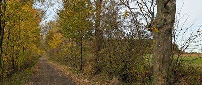 Świątek ↔ Rochów