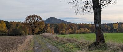 Rochów ↔ Zielonki [Szlak zielony w kierunku Ostrzycy]
