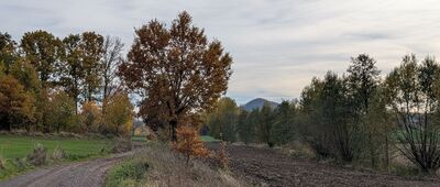 Twardocice, rozejście szlaków ↔ Zielonki