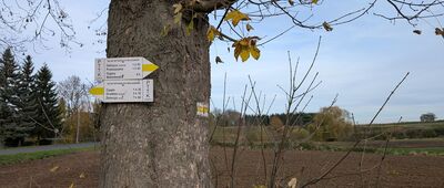 Twardocice, rozejście szlaków ↔ Zielonki