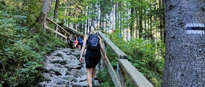 Jaskinia Mroźna, wejście [Jaskinia Mroźna - wejście (wrzesień 2025)]