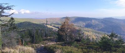 Rozejście szlaków ↔ Magurka Wiślańska [Barania Góra trawers, aż chce się iść aż na Skrzyczne]
