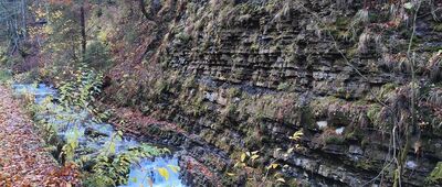 Wisła, Czarne ↔ Droga do Barańskiego Mostu [Flisz karpacki jak na dłoni]