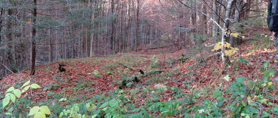 Pomnik bombowca Liberator