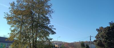 Grybów ↔ Grybów, stacja kolejowa