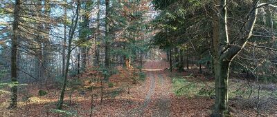 Przełęcz nad Czarną ↔ Bordiów Wierch