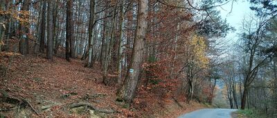 Hańczowa, skrzyżowanie szlaków