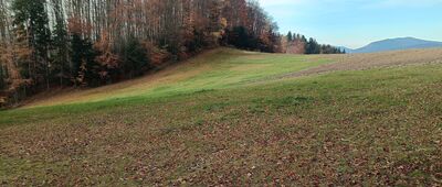 Chełm ↔ Podwawrze