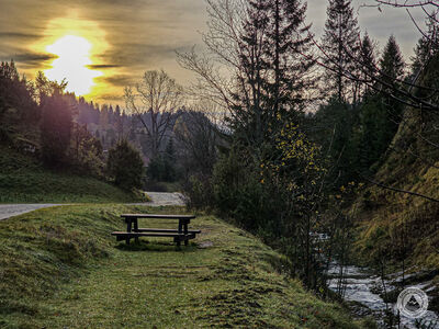 Rezerwat Biała Woda