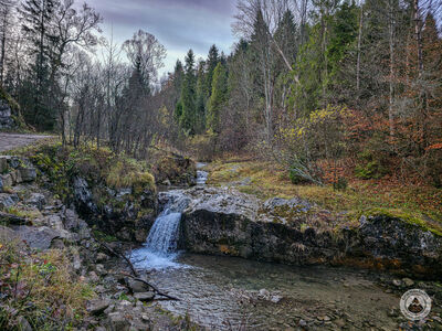 Rezerwat Biała Woda