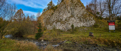 Rezerwat Biała Woda, Zapustek [Rezerwat Biała Woda]