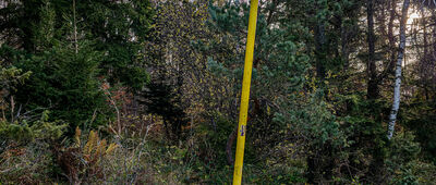 Przełęcz Rozdziela [Przełęcz Rozdziela 862 m n.p.m.]