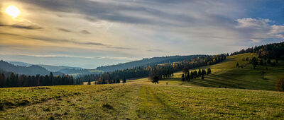 Przełęcz Rozdziela, odejście szlaku żółtego [Przełęcz Rozdziela]