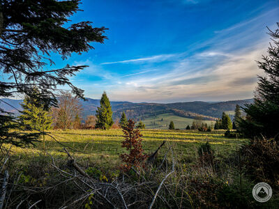 Niebieski szlak między Wierchliczką a Watriskiem z widokiem na Beskid Sądecki