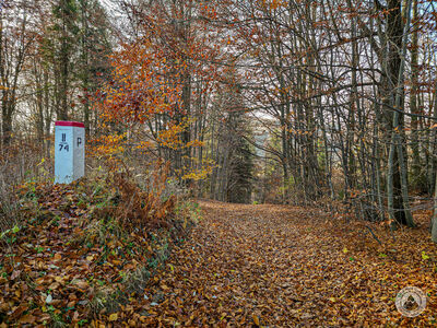 Niebieski szlak między Watriskiem a Smrekową