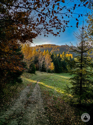 Niebieski szlak między Watriskiem a Smrekową