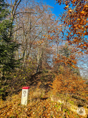 Podejście na Smrekową (poza szlakiem)