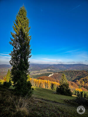 Beskid Sądecki z niebieskiego szlaku pod