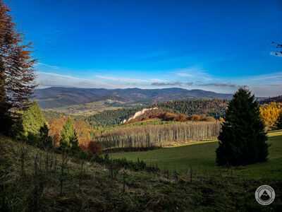 Niebieski szlak między Smrekową a Uroczyskiem Zaskalskim z widokiem na Beskid Sądecki