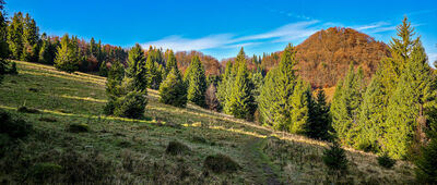 Uroczysko Zaskalskie [Uroczysko Zaskalskie (Przełęcz pod Wysokimi Skałkami)]