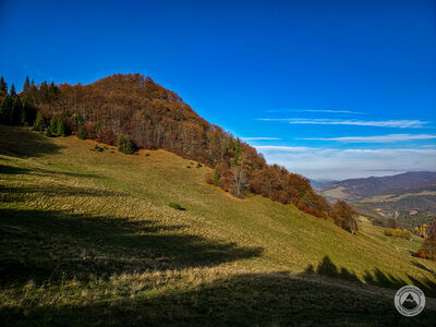 Wysoka z Uroczyska Zaskalskiego