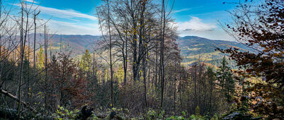 Polana pod Wysoką [Beskid Sądecki z niebieskiego szlaku nad Polaną pod Wysoką]