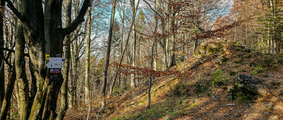 Pod Wysoką [Skrzyżowanie pod Wysoką]