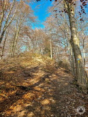 Stachurówki 910 m n.p.m.
